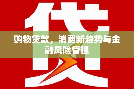 西昌购物贷款，消费新趋势与金融风险管理