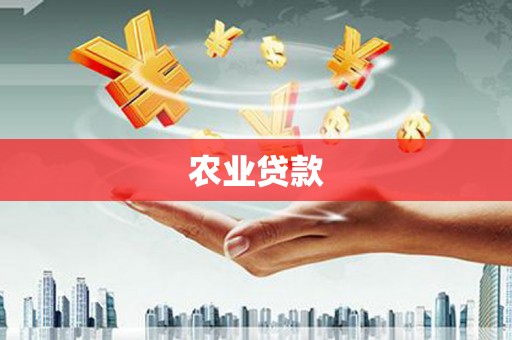 西昌农业贷款