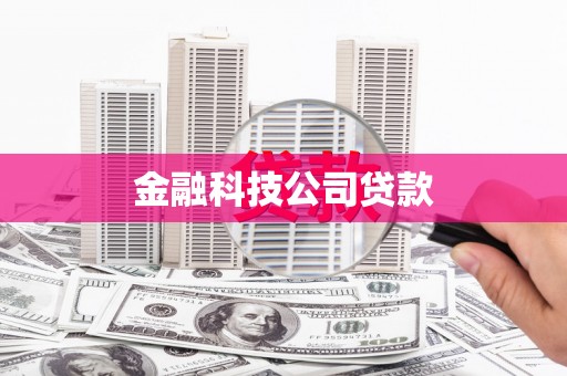 西昌金融科技公司贷款