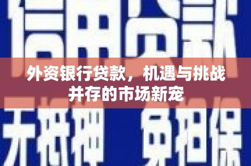西昌外资银行贷款，机遇与挑战并存的市场新宠