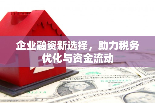 西昌企业融资新选择，助力税务优化与资金流动