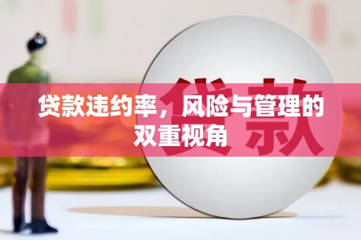 西昌贷款违约率，风险与管理的双重视角