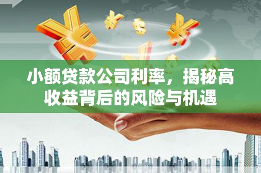 西昌小额贷款公司利率，揭秘高收益背后的风险与机遇
