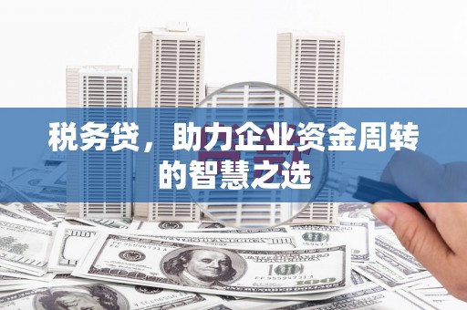 西昌税务贷，助力企业资金周转的智慧之选