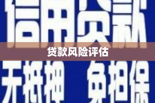 西昌贷款风险评估