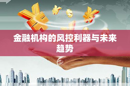西昌金融机构的风控利器与未来趋势
