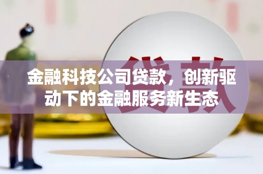 西昌金融科技公司贷款，创新驱动下的金融服务新生态