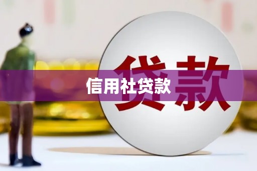 西昌信用社贷款