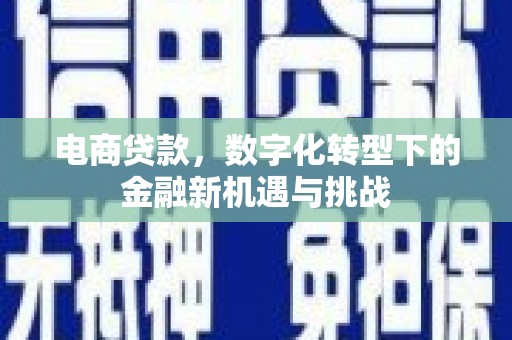 西昌电商贷款，数字化转型下的金融新机遇与挑战