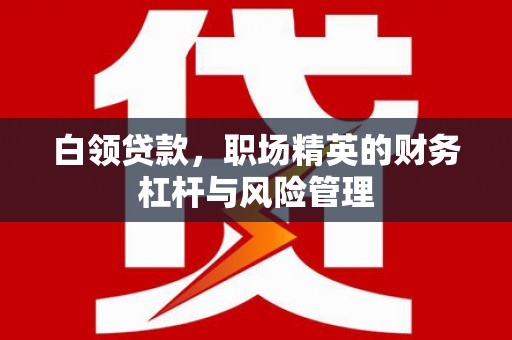 西昌白领贷款，职场精英的财务杠杆与风险管理