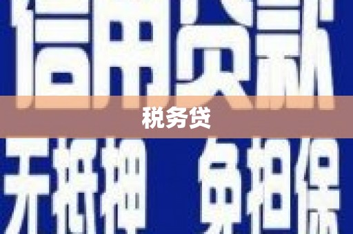 西昌税务贷
