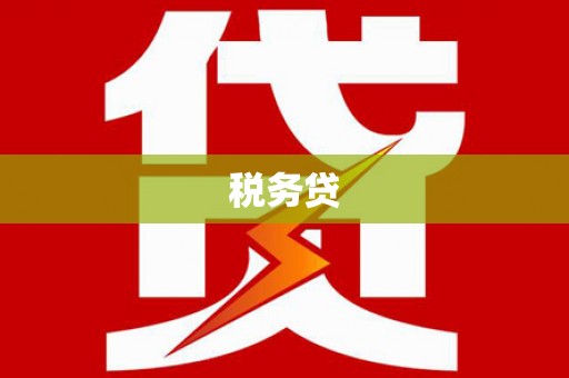 西昌税务贷