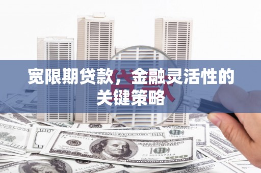 西昌宽限期贷款，金融灵活性的关键策略