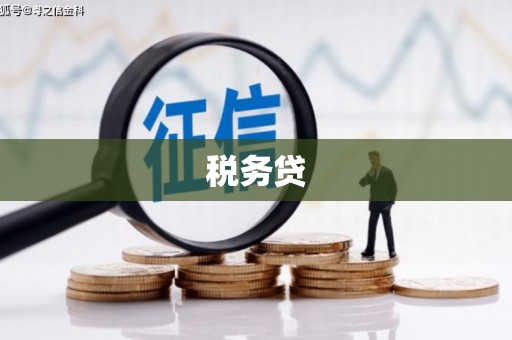 西昌税务贷