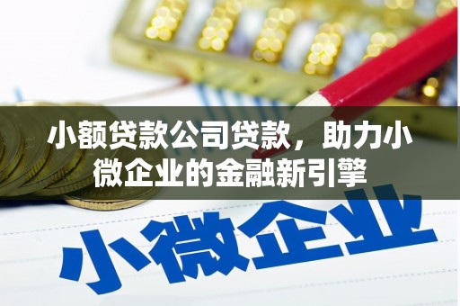 西昌小额贷款公司贷款，助力小微企业的金融新引擎