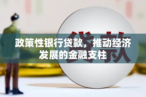 西昌政策性银行贷款，推动经济发展的金融支柱