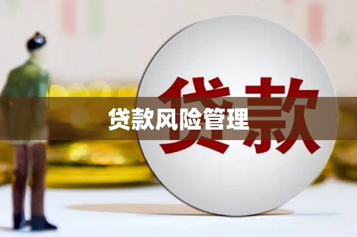 西昌贷款风险管理