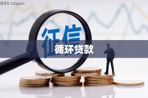 西昌循环贷款
