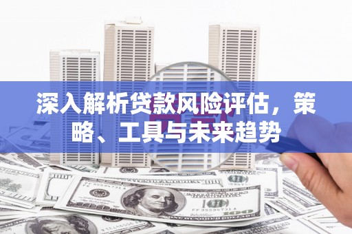 西昌深入解析贷款风险评估，策略、工具与未来趋势