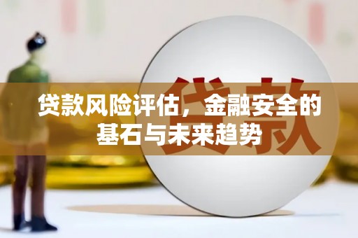 西昌贷款风险评估，金融安全的基石与未来趋势