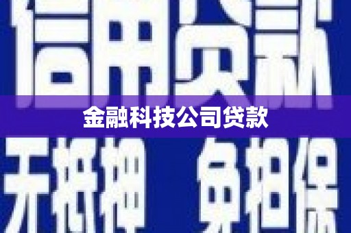 西昌金融科技公司贷款