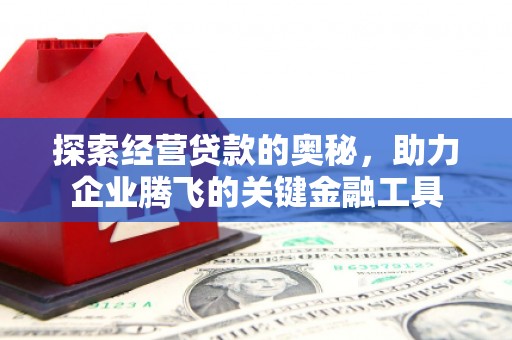 西昌探索经营贷款的奥秘，助力企业腾飞的关键金融工具