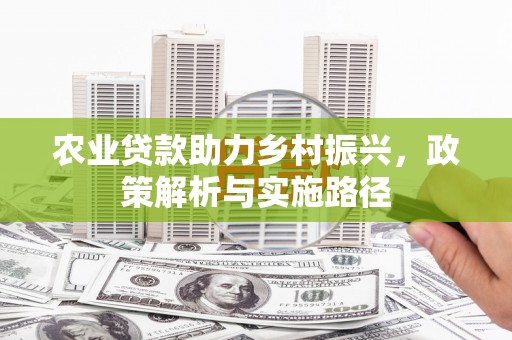西昌农业贷款助力乡村振兴，政策解析与实施路径