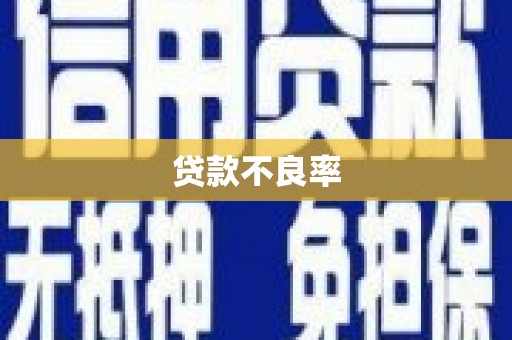 西昌贷款不良率
