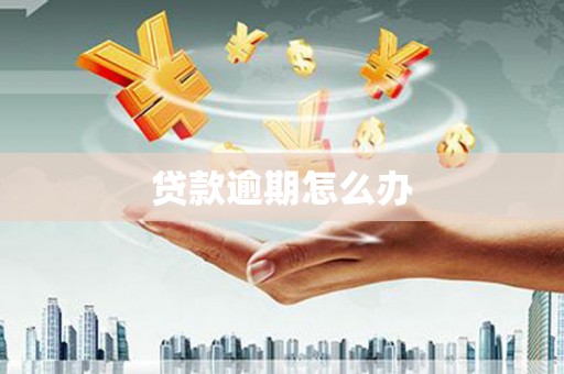 西昌贷款逾期怎么办
