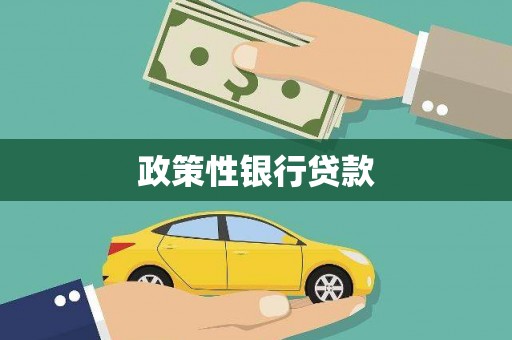 西昌政策性银行贷款