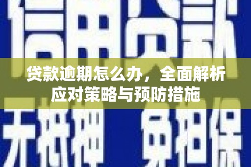 西昌贷款逾期怎么办，全面解析应对策略与预防措施