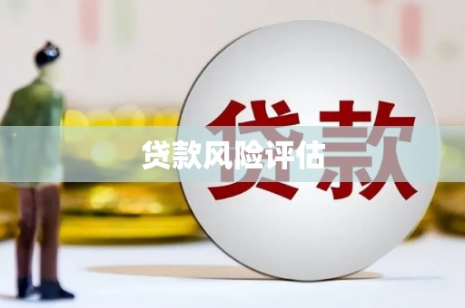 西昌贷款风险评估