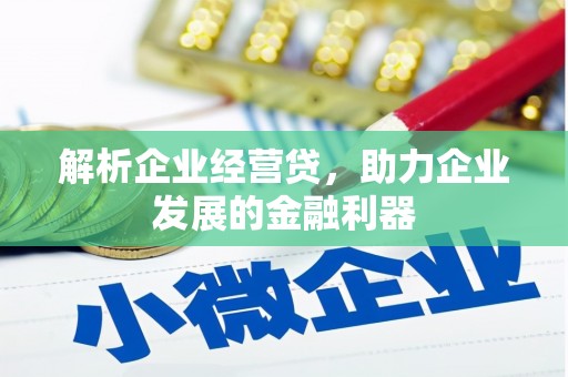 西昌解析企业经营贷，助力企业发展的金融利器