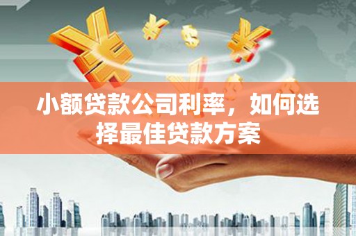 西昌小额贷款公司利率，如何选择最佳贷款方案