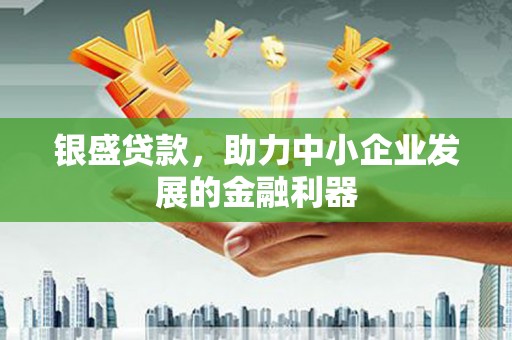 西昌银盛贷款，助力中小企业发展的金融利器