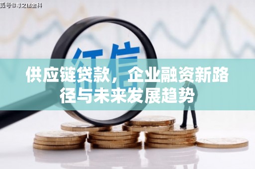 西昌供应链贷款，企业融资新路径与未来发展趋势