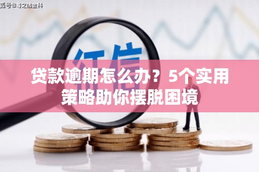 西昌贷款逾期怎么办？5个实用策略助你摆脱困境