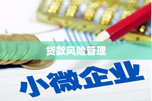 西昌贷款风险管理