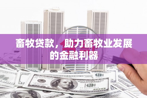 西昌畜牧贷款，助力畜牧业发展的金融利器