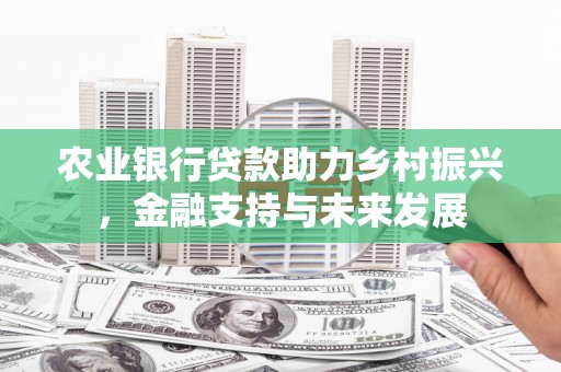西昌农业银行贷款助力乡村振兴，金融支持与未来发展