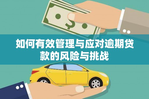 西昌如何有效管理与应对逾期贷款的风险与挑战