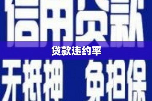 西昌贷款违约率