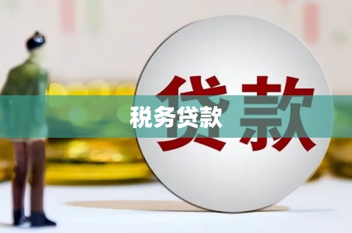 西昌税务贷款
