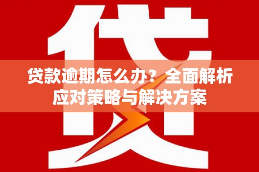 西昌贷款逾期怎么办？全面解析应对策略与解决方案