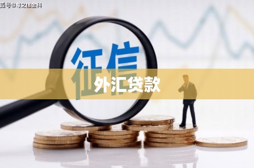 西昌外汇贷款