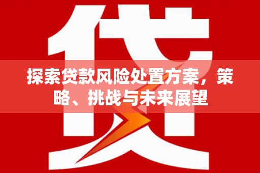 西昌探索贷款风险处置方案，策略、挑战与未来展望