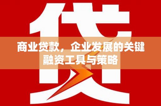 西昌商业贷款，企业发展的关键融资工具与策略
