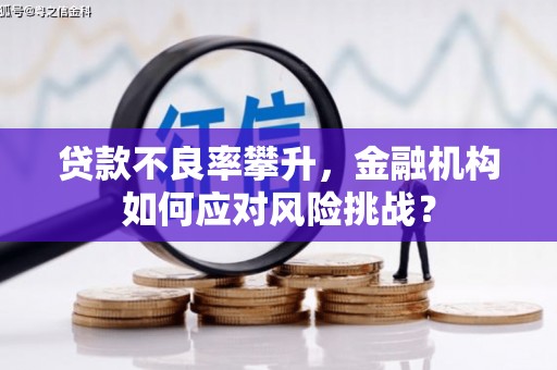 西昌贷款不良率攀升，金融机构如何应对风险挑战？