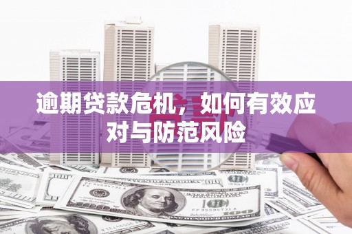 西昌逾期贷款危机，如何有效应对与防范风险