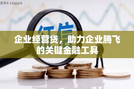 西昌企业经营贷，助力企业腾飞的关键金融工具